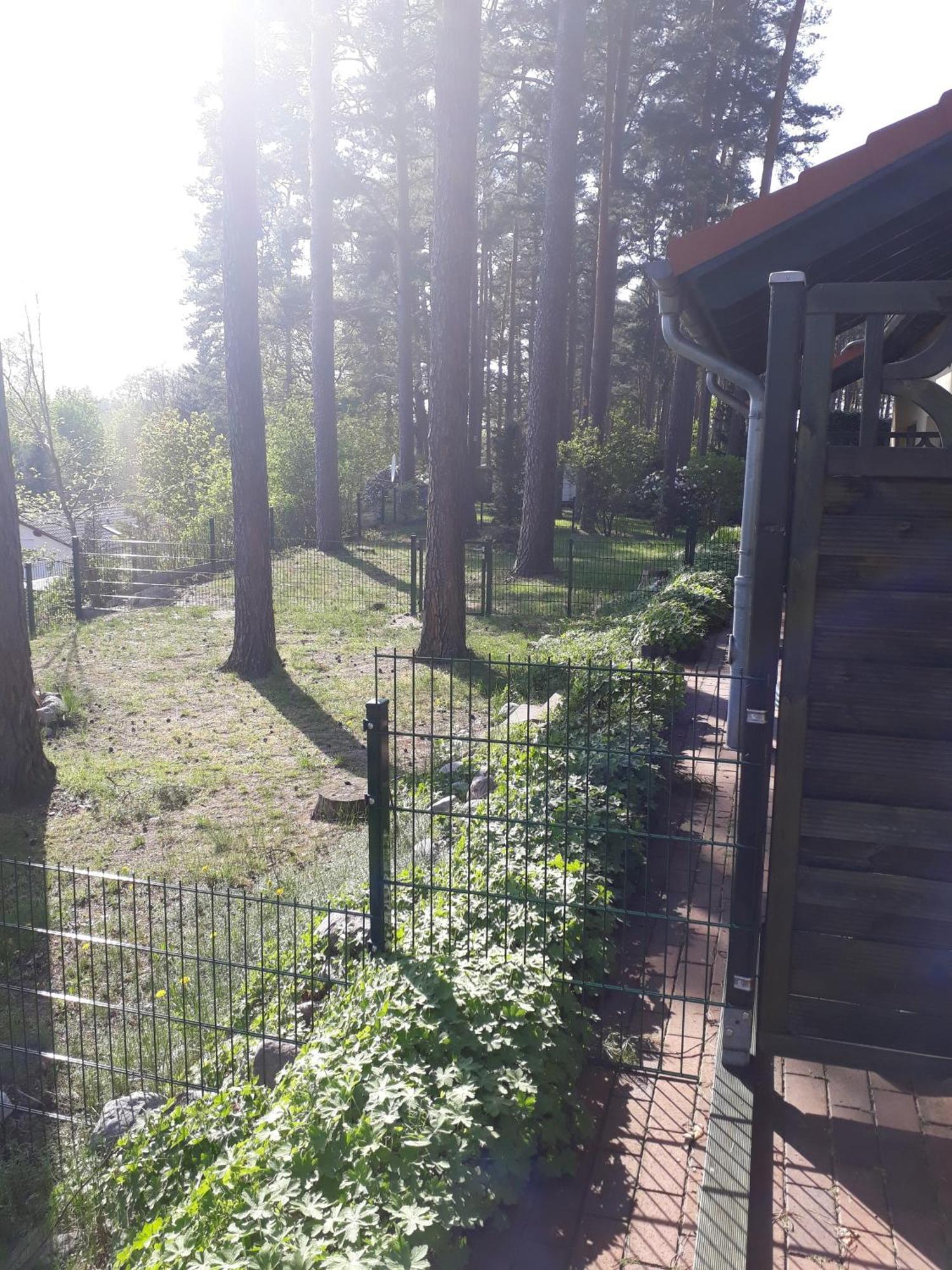 Ferienhaus Waldschneise B Am Jabeler See Екстер'єр фото